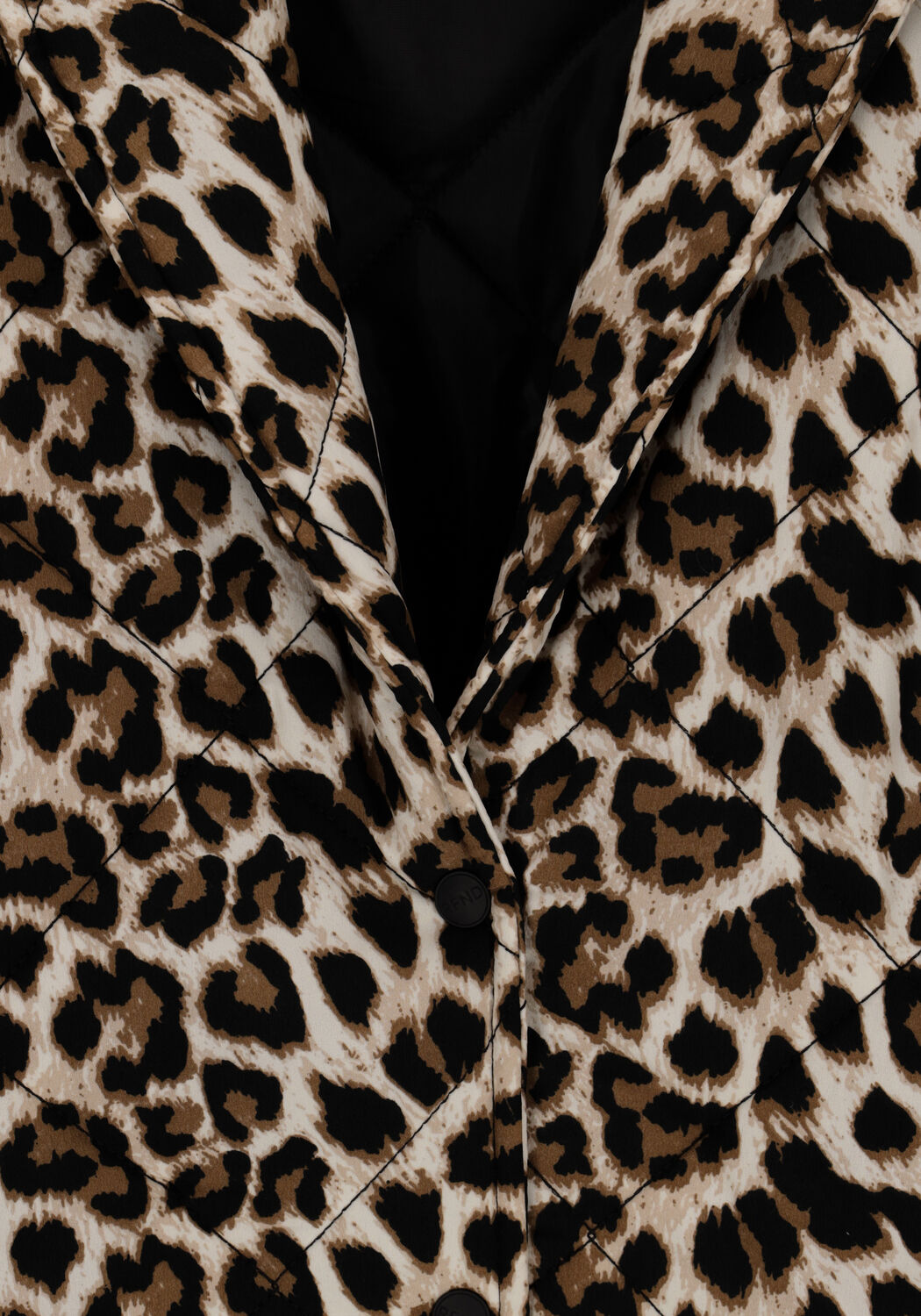 Bruine REFINED DEPARTMENT Jack JAY - large