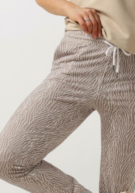 Taupe MOSCOW Pantalon 72-02-SUNNY - large