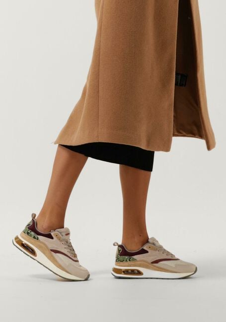 Taupe THE HOFF BRAND Lage sneakers NOTRE DAME - large