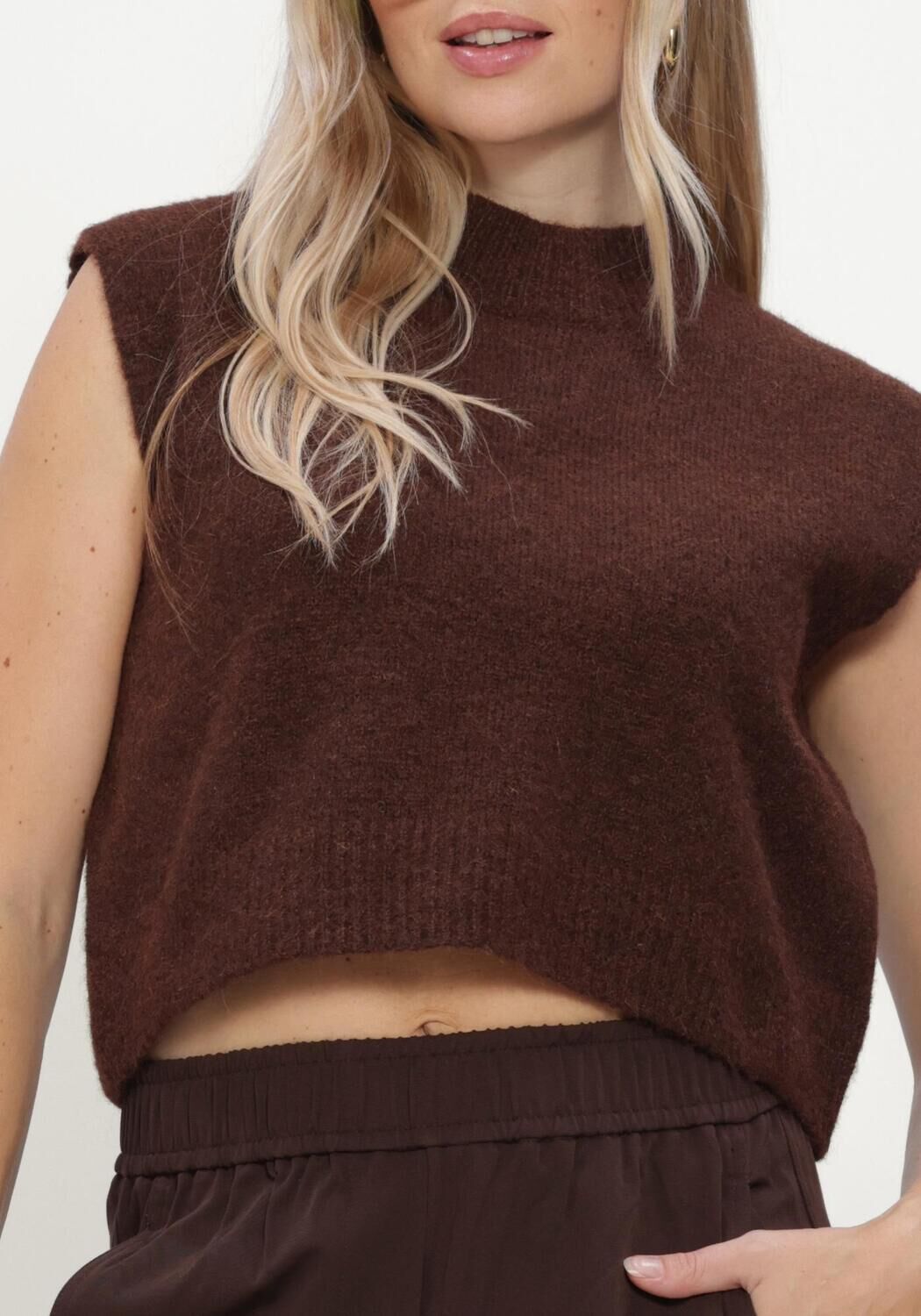 STUDIO AMAYA Dames Truien & Vesten Sano Knitwear Bruin