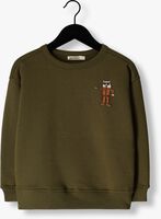 Groene AMMEHOELA Sweater AM.ROCKY.55 - medium