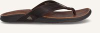 Bruine REEF Teenslippers J-BAY III - medium