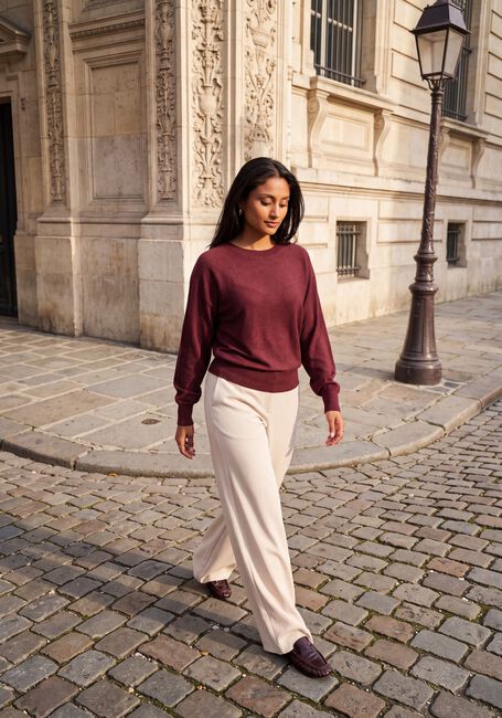 Bordeaux MINUS Trui MSDANA METALLIC BAT SLEEVE PULLOVER - large