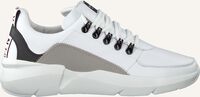 Witte NUBIKK Lage sneakers ELVEN ROYAL - medium