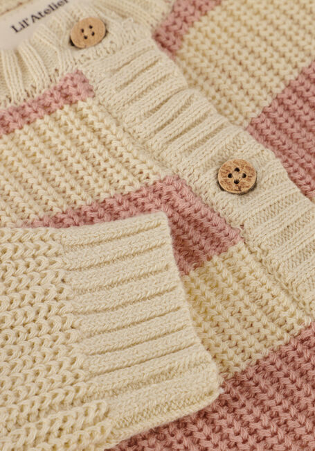 Roze LIL' ATELIER Trui NBFEMLEN KNIT CARD STRIPE LIL - large