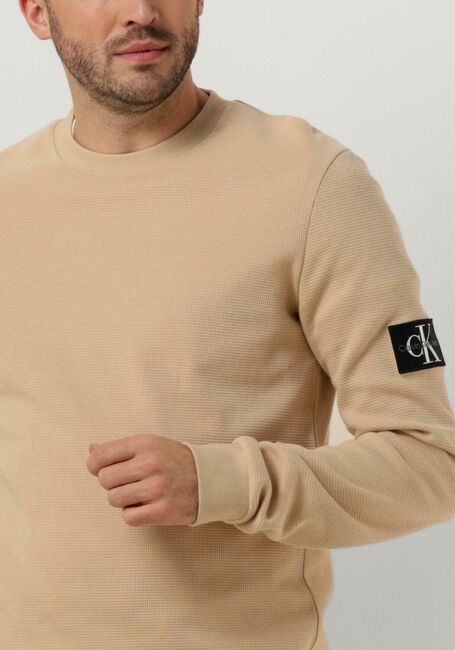 Zand CALVIN KLEIN Trui BADGE WAFFLE LS TEE - large
