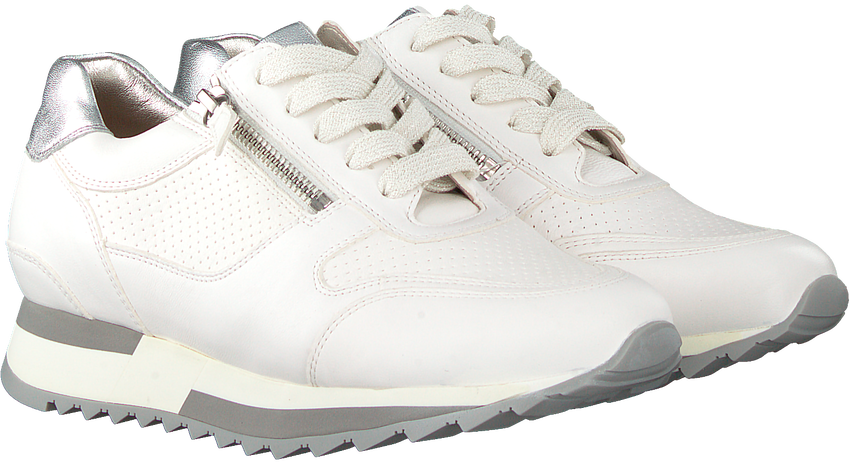 hassia sneakers sale