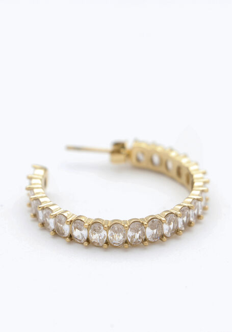 Goudkleurig NOTRE-V Oorbellen EARRING STRASS - large