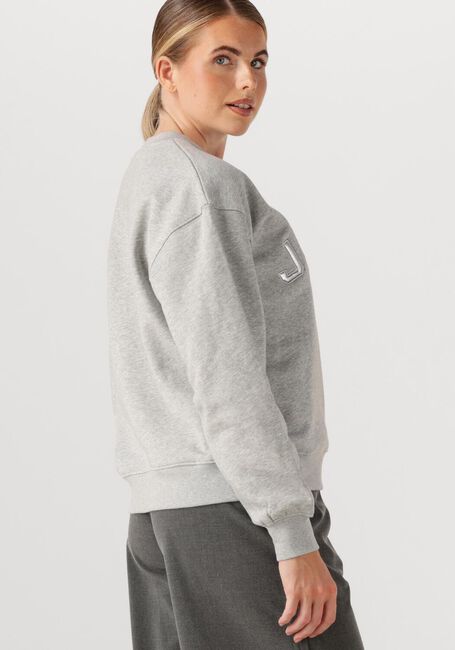 Grijze JANICE Sweater ANDY - large