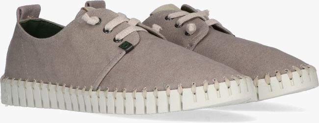 Taupe SLOWWALK Lage sneakers FOSIL - large
