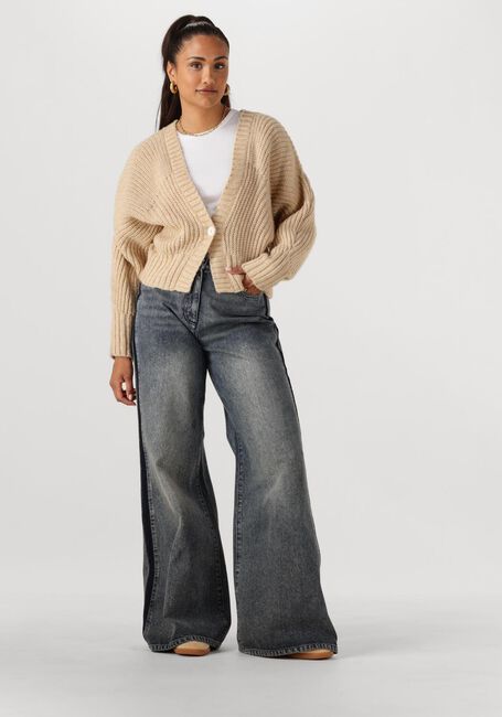 Beige NUKUS Trui JOLIJN CARDIGAN - large