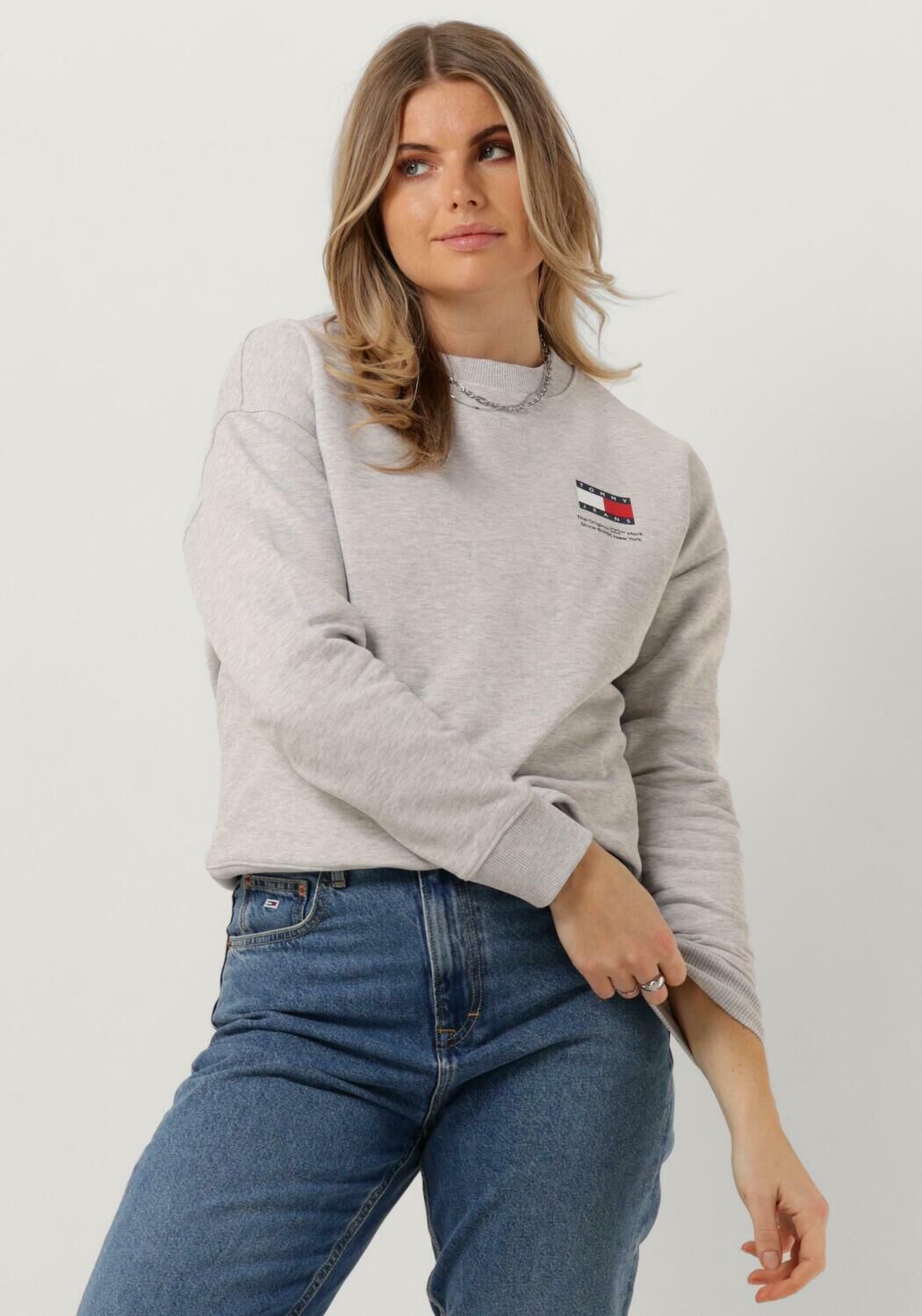 TOMMY JEANS Dames Truien & Vesten Tjw Bxy Graphic Flag Crew Grijs