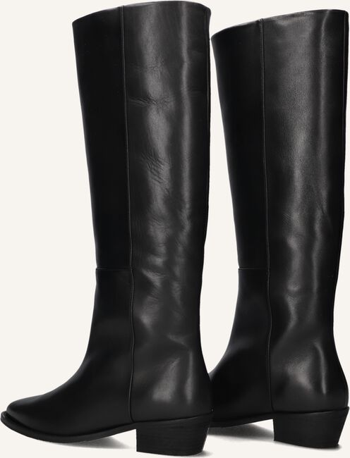TORAL 12777 TORAL 12777 - large