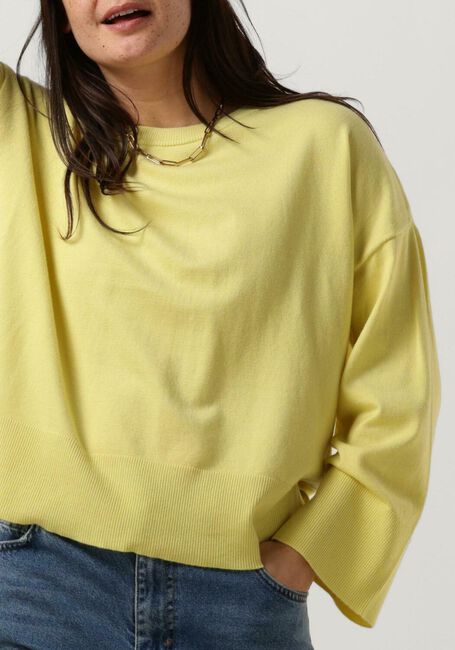 Gele MSCH COPENHAGEN Trui DALINDA RACHELLE PULLOVER - large