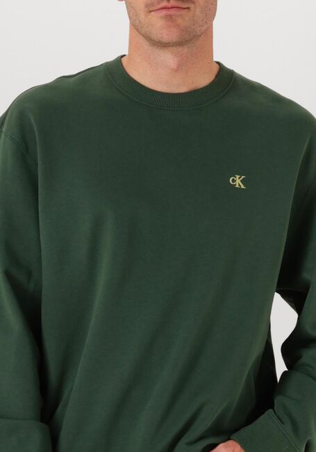 Donkergroene CALVIN KLEIN Sweater LS EU 350TERRY MONOGRAM CN SWEAT - large
