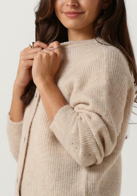 Opgetild reputatie Fascineren Beige SELECTED FEMME Vest LULU LS KNIT SHORT CARDIGAN | Omoda