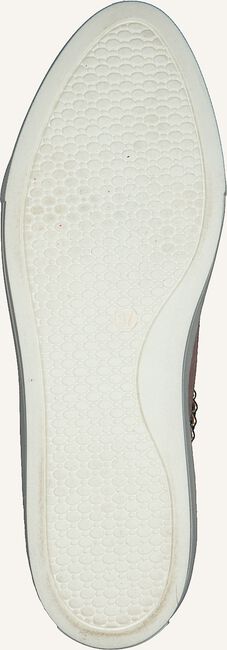 Roze ROBERTO D'ANGELO Lage sneakers YORK Roze ROBERTO D'ANGELO Lage sneakers YORK - large