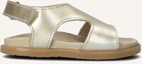 Gouden PINOCCHIO Sandalen P1627 - medium