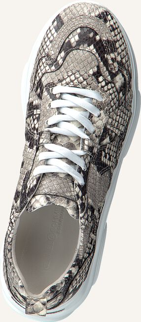 Beige KENNEL & SCHMENGER Lage sneakers 26500 Beige KENNEL & SCHMENGER Lage sneakers 26500 - large