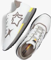 Witte ATLANTIC STARS Lage sneakers DRACOC - medium