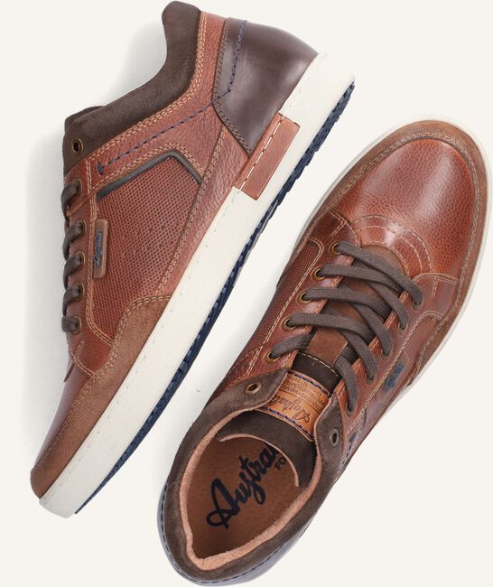 Bruine AUSTRALIAN Lage sneakers ANTRIM Bruine AUSTRALIAN Lage sneakers ANTRIM - large