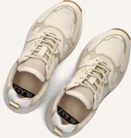 Beige BLASZ Lage sneakers CHARU-11 Beige BLASZ Lage sneakers CHARU-11 - medium