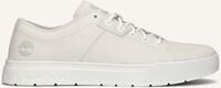 Witte TIMBERLAND Lage sneakers MAPLE GROVE LOW - medium