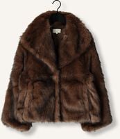 NOTRE-V NV-GALA NOTRE-V NV-GALA - medium