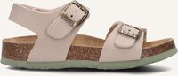 Beige SCHOLL Sandalen SHARK - medium