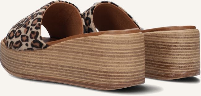 NOTRE-V 816013 NOTRE-V 816013 - large