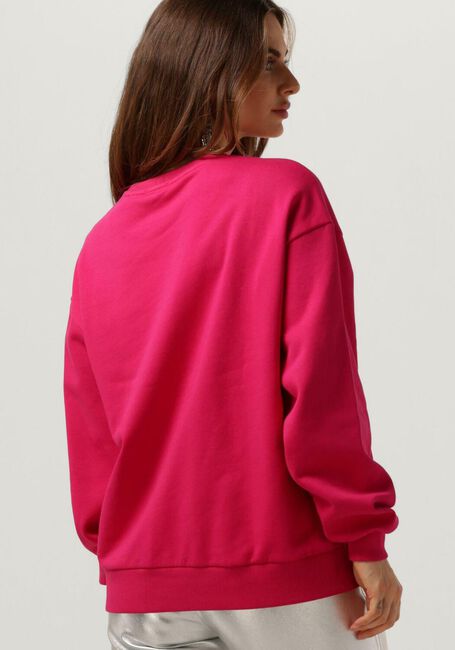 Roze ALIX THE LABEL Trui 2014 SWEATER - large