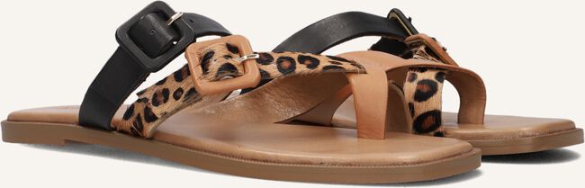 Camel NOTRE-V Teenslippers 979005 Camel NOTRE-V Teenslippers 979005 - large