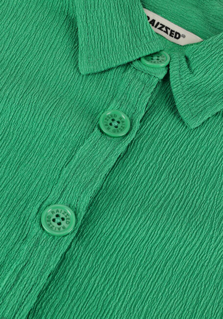 Groene RAIZZED Blouses TELSA - large