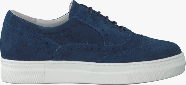 Blauwe ROBERTO D'ANGELO Sneakers VIBORA  - large