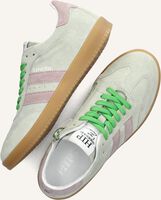 HIP H1511 HIP H1511 - medium