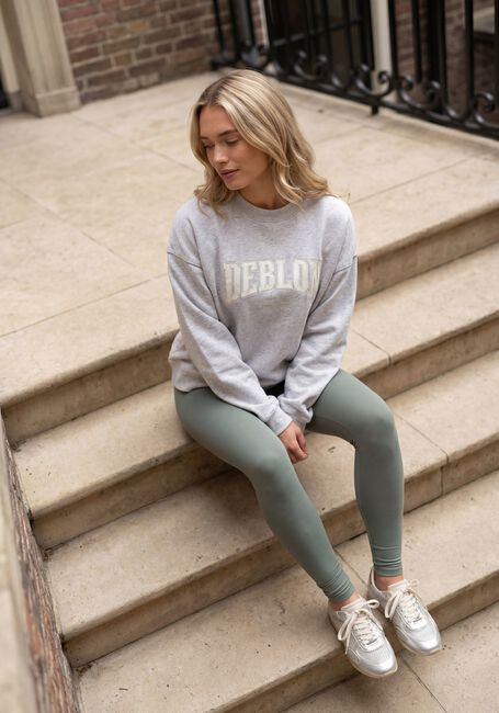Lichtgrijze DEBLON SPORTS Sweater LIOR SWEATER - large