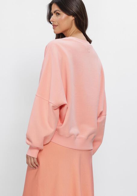 Roze DRYKORN Trui ASTERA_P4 - large