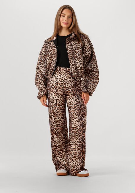 Bruine STUDIO AMAYA Jack FELINE - large