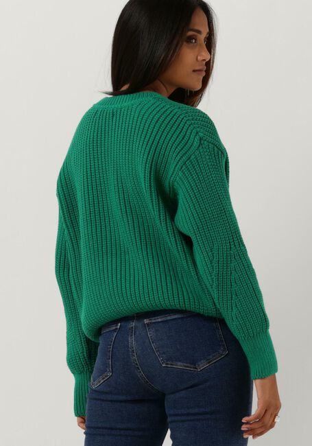 Groene TOMMY HILFIGER Trui ORG COTTON BUTTON C-NK SWEATER - large
