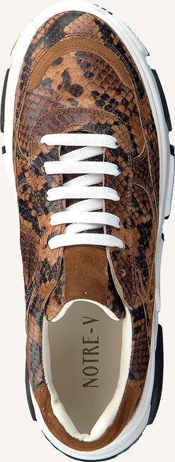 Cognac NOTRE-V Lage sneakers 608 Cognac NOTRE-V Lage sneakers 608 - large