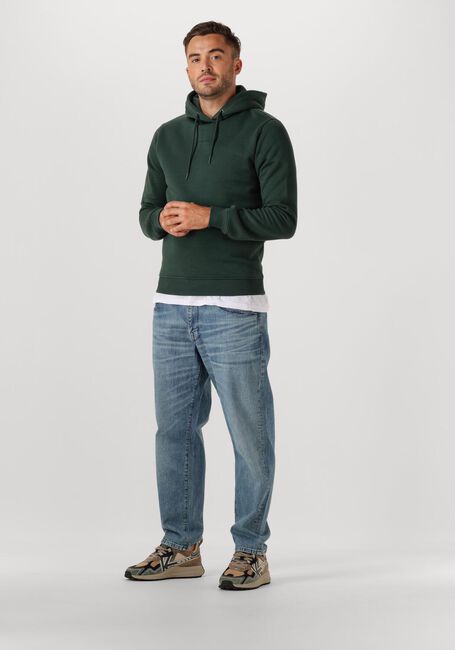 Donkergroene PURE PATH Sweater REGULAR FIT HOODIE LS SWEATERS - large