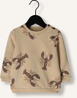 Beige Z8 Sweater FRANCO Beige Z8 Sweater FRANCO - medium