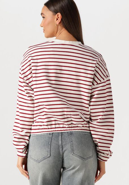 Roze CATWALK JUNKIE Truien/vesten STRIPED SWEATER WITH ELASTIC HEMS - large