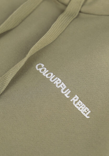 Groene COLOURFUL REBEL Sweater CR EST. 2013 BACK PRINT HOODIE - large