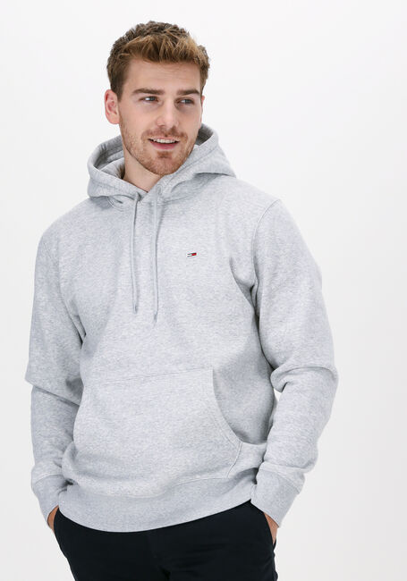 Lichtgrijze TOMMY JEANS Sweater TJM REGULAR FLEECE HOODIE - large