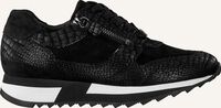 Zwarte HASSIA Lage sneakers MADRID - medium