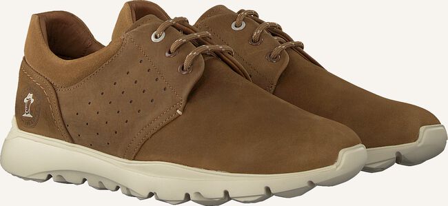 Taupe PANAMA JACK Lage sneakers JULIUS Taupe PANAMA JACK Lage sneakers JULIUS - large