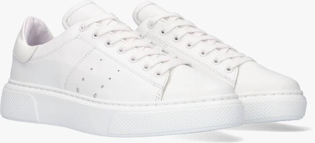 Witte TANGO Lage sneakers ALEX 2 - large