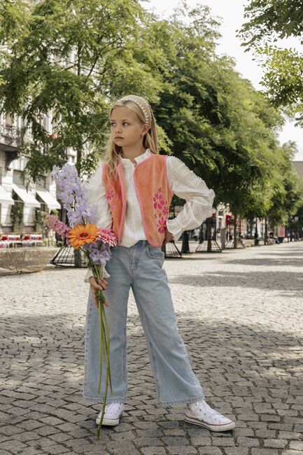 Roze AMMEHOELA Gilet AM-EMMY-22 - large