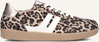 Bruine GABOR Lage sneakers 300 Bruine GABOR Lage sneakers 300 - medium